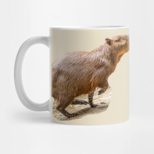 Out for a run Capybara Mug